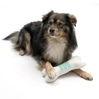 Pas drži bijelu igračku od tkanine u obliku kosti s zelenim slovom 'M'.