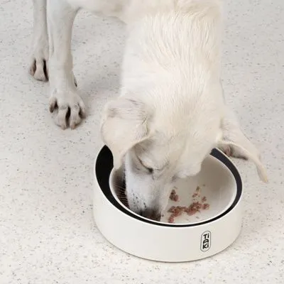 TIAKI Bol inteligent cu cântar