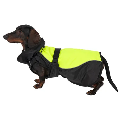 Hund trägt eine schwarz-gelbe wasserabweisende Hundejacke mit verstellbarem Gürtel und Kragen.