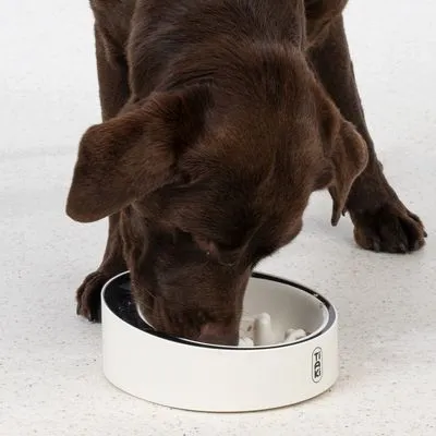 TIAKI Bol inteligent antiînfulecare cu cântar