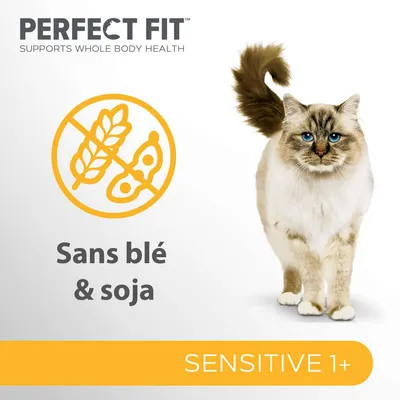 Perfect Fit, Supports Whole Body Health, Sans blé & soja, SENSITIVE 1+, image d’un chat à poils longs. Texte en partie en anglais.