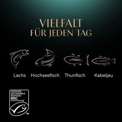 Texte en allemand : Vielfalt für jeden Tag. Illustrations de poissons avec les noms Lachs, Hochseefisch, Thunfisch, Kabeljau. Label MSC Certified Sustainable Seafood.