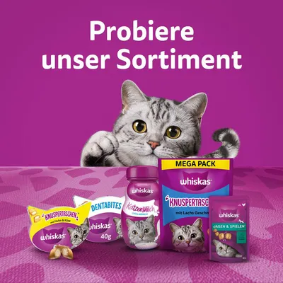 Whiskas ассортимент: хрустящие подушечки с курицей и сыром, Dentabites 40 г, кошачье молоко, хрустящие подушечки Мега Пак с вкусом лосося, Jagen & Spielen.