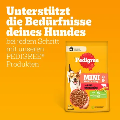 Unterstützt die Bedürfnisse deines Hundes bei jedem Schritt mit unseren PEDIGREE Produkten. Pedigree Mini Adult <10 kg mit Rind und Gemüse, 1,4 kg Beutel abgebildet.