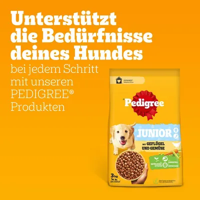 Texte en allemand : Unterstützt die Bedürfnisse deines Hundes bei jedem Schritt mit unseren PEDIGREE Produkten. Sac Pedigree Junior 3 kg, Geflügel und Gemüse, croquettes pour chiot.