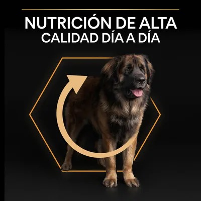 Texto: Nutrición de alta calidad día a día. Imagen de un perro grande de pelaje marrón y negro sobre fondo negro, con un hexágono y una flecha circular naranja detrás.