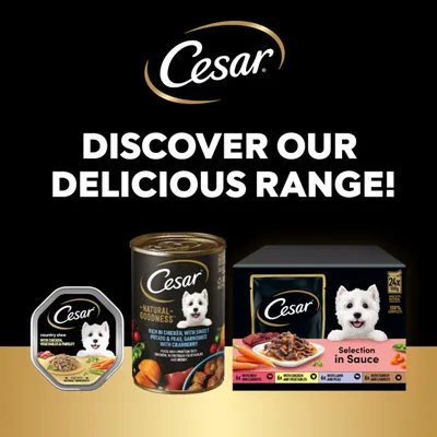 Cesar Natural Goodness Terrine Mixed Selection - 24 x 100g Cesar Natural Goodness Terrine Mixed Selection - 24 x 100g