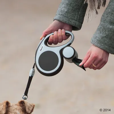 Person holding a retractable lead with an attached waste bag dispenser, showing how to use the product during a walk.