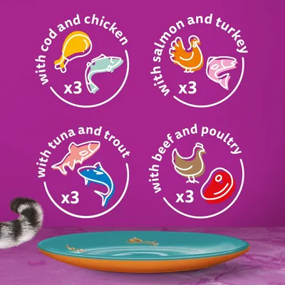 Testo in inglese: with cod and chicken x3, with salmon and turkey x3, with tuna and trout x3, with beef and poultry x3. Illustrazioni di pesce, pollo, tacchino, tonno, trota, manzo.