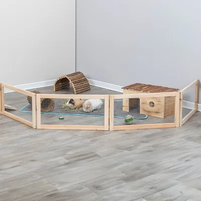Recinto in legno con pareti a griglia, due conigli all'interno. Include casetta in legno, tunnel e gioco su sfondo blu.
