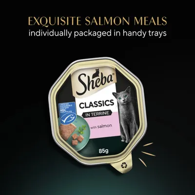 Sheba Classic Terrine Trays - Salmon (22 x 85g) Sheba Classic Terrine Trays - Salmon (22 x 85g)