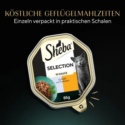 Sheba Selection in Sauce, köstliche Geflügelmahlzeiten mit Kalb und Truthahn, einzeln verpackt in praktischen Schalen, 85g.
