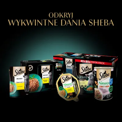 Różne produkty karmy dla kotów Sheba, w tym Delicacy, Nature's Collection oraz Kitten, w puszkach, tackach i saszetkach. Tekst: Odkryj wykwintne dania Sheba. Różne produkty karmy dla kotów Sheba, w tym Delicacy, Nature's Collection oraz Kitten, w puszkach, tackach i saszetkach. Tekst: Odkryj wykwintne dania Sheba.