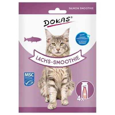 Dokas lososové smoothie