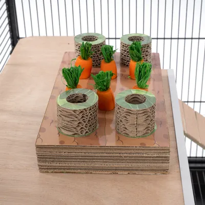 Jeu d’enrichissement pour rongeurs en carton et plastique, plateau avec 3 carottes orange à feuilles vertes et 3 cylindres creux disposés en alternance.