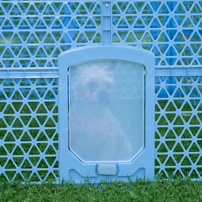 Țarc albastru cu pereți din grilaj și ușă din plexiglas, câine vizibil în spatele ușii. Potrivit pentru delimitarea animalelor de companie în aer liber.