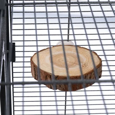 Disco de madera redondo con corteza, fijado a una jaula de rejilla metálica. Adecuado como superficie para sentarse o trepar para pequeños animales.