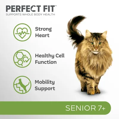 Product features: strong heart, healthy cell function, mobility support. Suitable for senior 7+ as shown in the image.