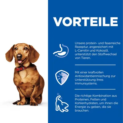 Vorteile: Protein- und faserreiche Rezeptur mit L-Carnitin und Kokosöl für den Stoffwechsel. Antioxidantien zur Unterstützung des Immunsystems. Kombination aus Proteinen, Fetten und Kohlenhydraten.