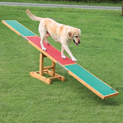 Perro sobre balancín de agilidad para perros, estructura de madera con superficie antideslizante verde y roja, colocado en césped al aire libre.