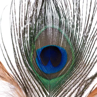 ""