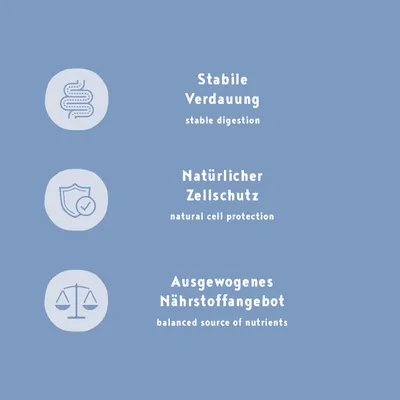 Stabile Verdauung, natürlicher Zellschutz und ausgewogenes Nährstoffangebot. Produktvorteile in deutscher und englischer Sprache dargestellt.