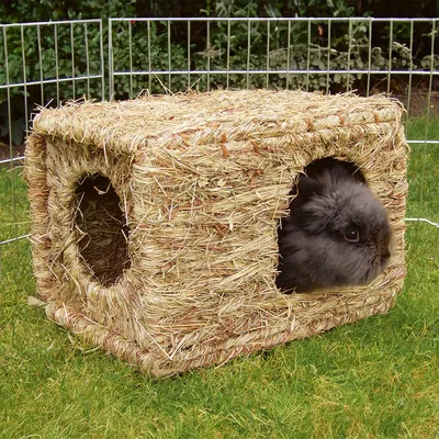 Căsuță pentru animale mici din paie natural, cu două intrări, potrivită pentru iepuri sau alte animale mici. Un iepure este în căsuță pe o pajiște.
