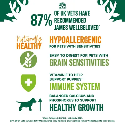 87% of UK vets recommended James Wellbeloved. Hypoallergenic for sensitive pets, easy to digest for grain sensitivities, supports immune system and healthy growth with balanced minerals.