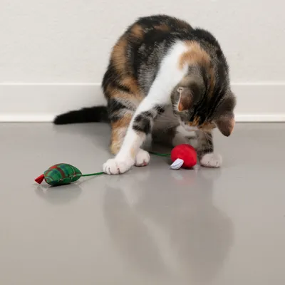 TIAKI Juleleketøy for katter mus