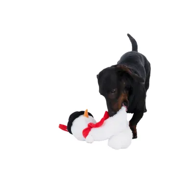 Hund leger med et plys-snemandslegetøj, hvid med rød halsedisse og sort hat.