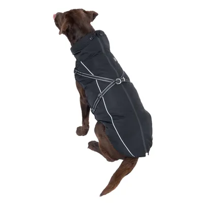 Chien marron portant un manteau noir avec harnais intégré et bandes réfléchissantes visibles sur le dos, fermeture éclair centrale.