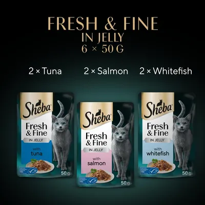Sheba Fresh & Fine in Jelly, 6 x 50g pouches: 2 with tuna, 2 with salmon, 2 with whitefish. Product packaging for each flavour shown.