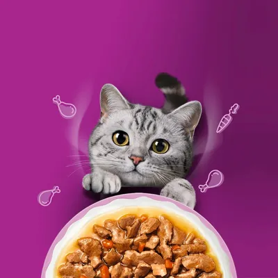 Whiskas 1+ Adult kapsičky 84 x 85 g