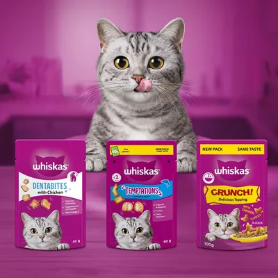Three Whiskas treat packs displayed: Dentabites with Chicken, Temptations, and Crunch Delicious Topping. Each pack shows product name, flavour, weight, and key features.