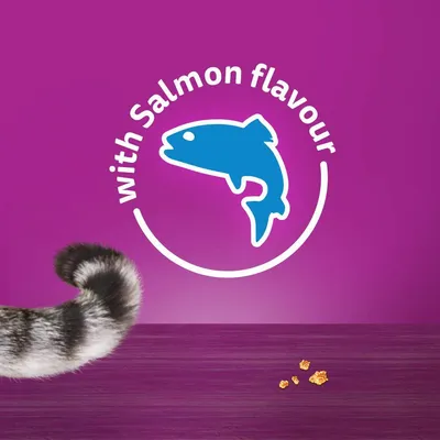 Image shows 'with Salmon flavour' text and a blue fish icon, indicating the product contains salmon flavour.