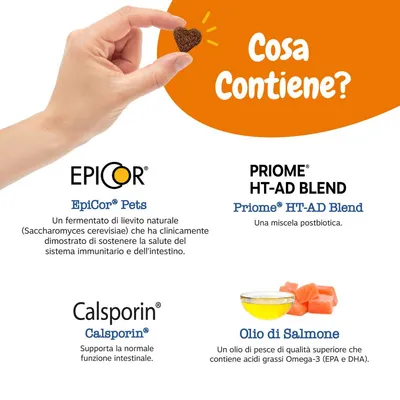 Contiene EpiCor Pets, Priome HT-AD Blend, Calsporin e olio di salmone. Descrizione degli ingredienti e dei loro benefici per il sistema immunitario e la digestione in italiano.