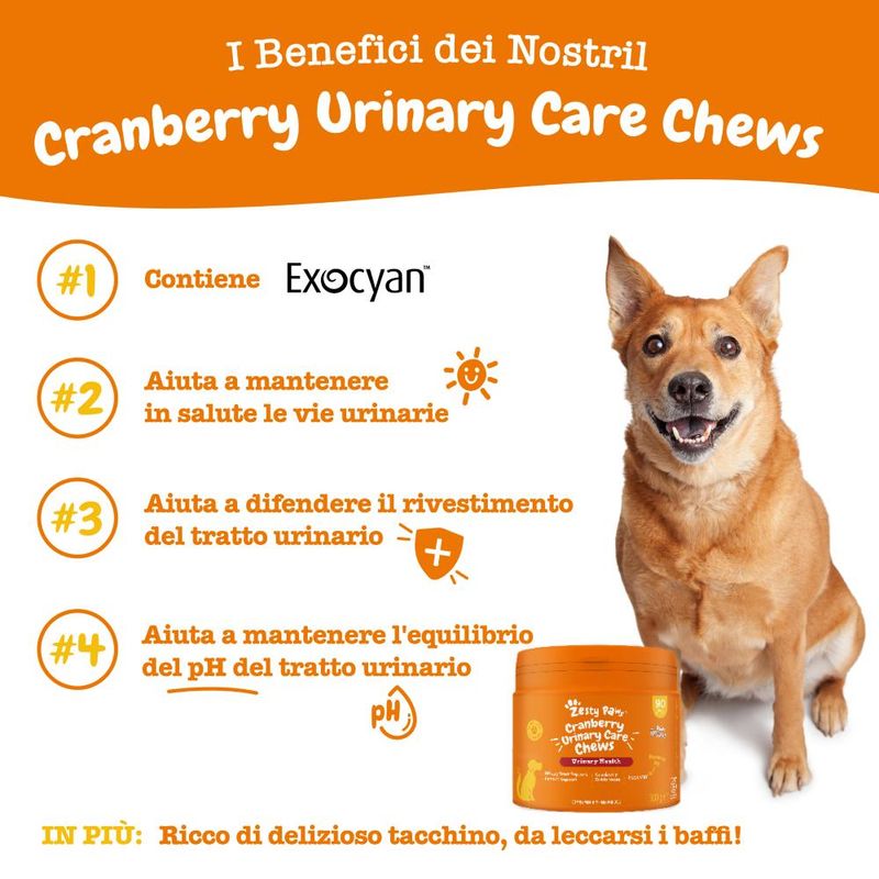 Zesty Paws Urinary Care Chews Mirtilli rossi