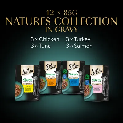 Sheba Nature's Collection in Gravy, 12 × 85 g: 3× Chicken, 3× Tuna, 3× Turkey, 3× Salmon. Négy tasak látható, mindegyiken macska képe és ízesítés angolul.