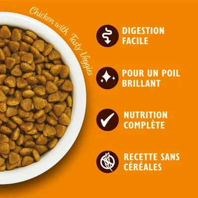 Croquettes dans un bol blanc, texte visible : Chicken with Tasty Veggies, Digestion facile, Pour un poil brillant, Nutrition complète, Recette sans céréales.