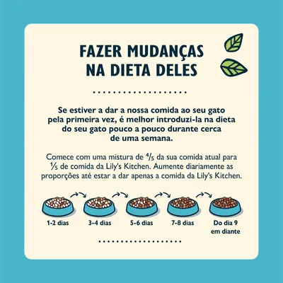 Instruções para mudar a dieta do gato: introduzir comida Lily's Kitchen gradualmente durante uma semana, aumentando a proporção diariamente até dar só Lily's Kitchen a partir do dia 9.