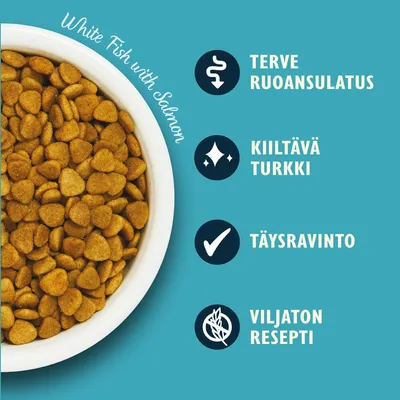 White Fish with Salmon. Terve ruoansulatus, kiiltävä turkki, täysravinto, viljaton resepti.