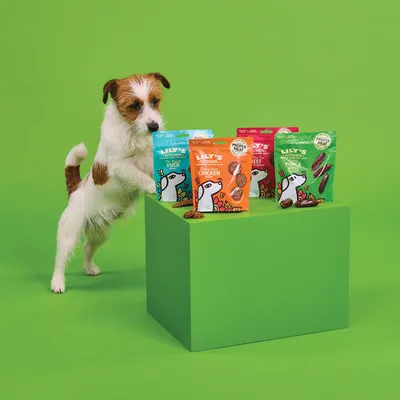 Sachets de friandises pour chien Lily’s Kitchen visibles : Duck, Chicken, Beef, Pork. Un chien regarde les sachets posés sur un cube vert. Marques et saveurs clairement lisibles.