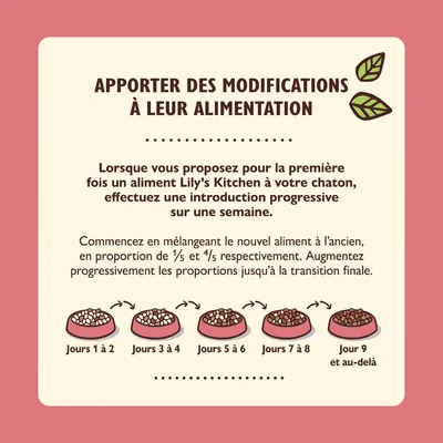 Conseils de transition alimentaire pour chaton Lily’s Kitchen : mélange progressif du nouvel aliment sur 9 jours, proportions augmentées chaque étape, instructions détaillées visibles.