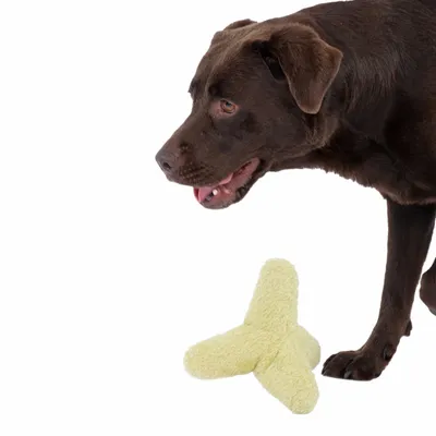 Modern Living hundeleketøy Grammichele