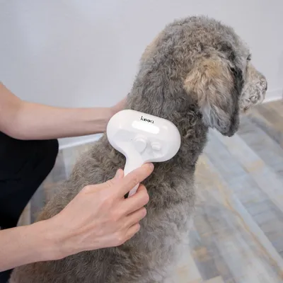 Person using a white Koooa device on a dog's back for coat care.