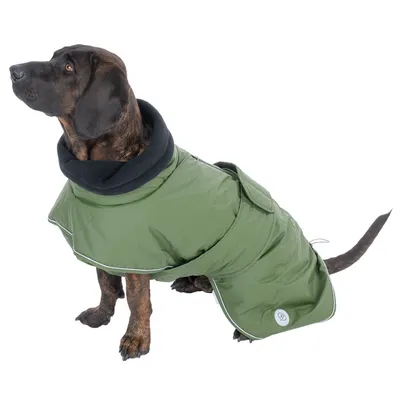 Chien portant un manteau vert avec col noir, fermeture à scratch sur le dos et liseré réfléchissant. Badge rond visible sur le côté du manteau.