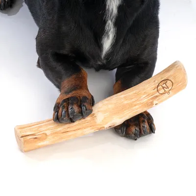 Nomad Tales Calma litchitræ til hunde