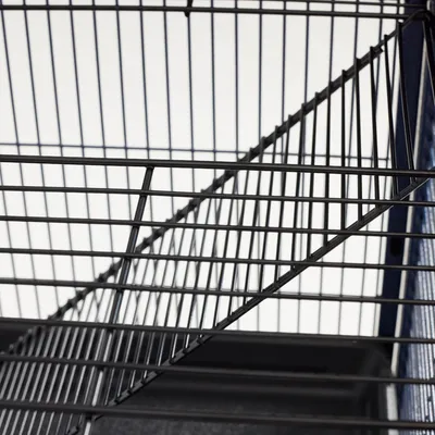 Vue rapprochée d'une cage en métal noir avec grille et plateau inférieur visible, sans marque ni texte apparent.