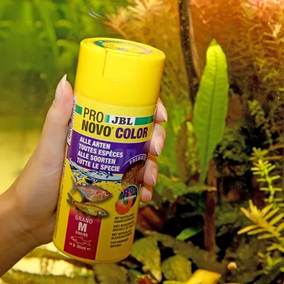 JBL Pro Novo Color pokarm dla wszystkich gatunków ryb, Grano M, tonący, z naturalnymi wzmacniaczami koloru i 80% krewetek. Odpowiedni dla ryb 8-20 cm.