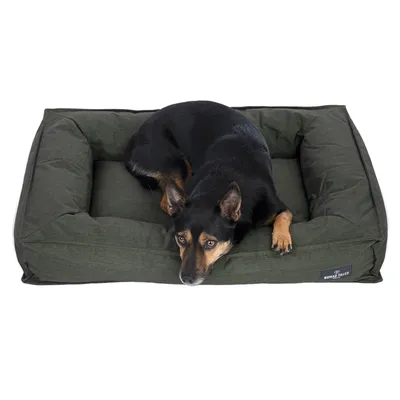 Hund liegt auf einem olivgrünen Hundebett mit Nomad Tales Logo.